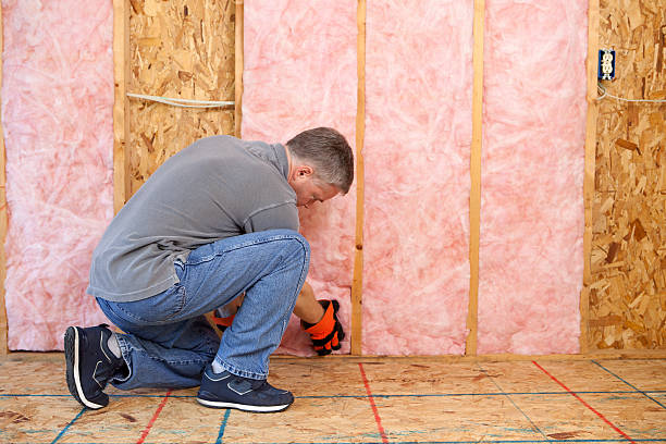 Best Specialty Insulation in Dane, WI